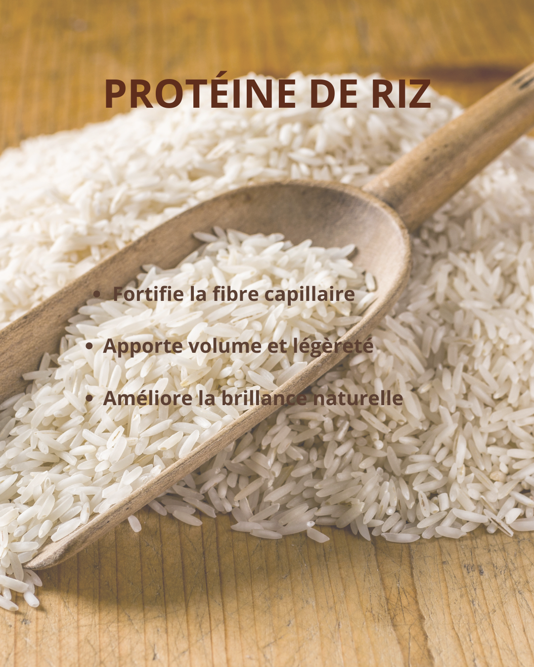 Protéine de riz naturelle, ingrédient capillaire qui renforce, hydrate et apporte de la brillance aux cheveux