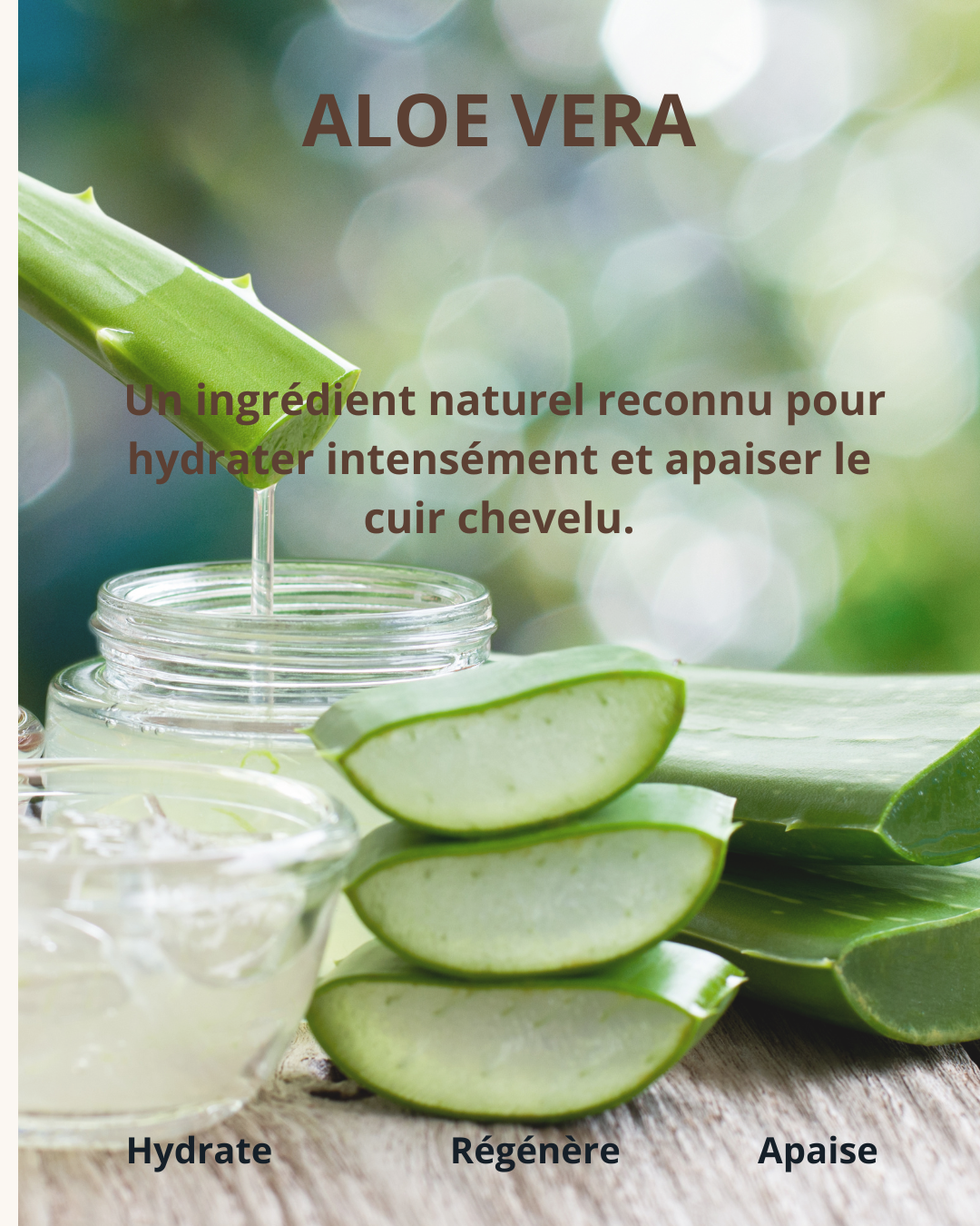 Gel d’aloe vera naturel, hydratant et apaisant pour cheveux secs, bouclés et crépus